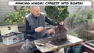 Styling a Hinoki Cypress into A Bonsai [upl. by Amandi]