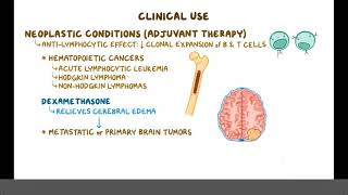 Glucocorticoids Pharmacology [upl. by Yelnoc]