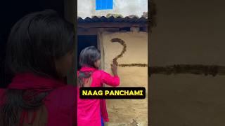 Naag Panchami 🙏😀  WG Day 22150  minivlog puja shorts [upl. by Esital]