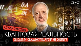 Алексей Семихатов  Квантовая Механика Квантовый компьютер и Квантовая реальность [upl. by Akkahs]