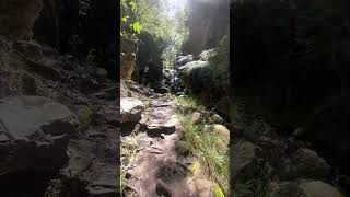 Wards canyon in Carnarvon gorge hiking [upl. by Jos987]