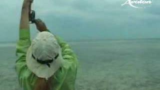 Fly fishing bonefish in cuba [upl. by Allerym]