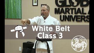 Shotokan Karate Beginner Follow Along Training Class  9th Kyu White Belt  Class 3 [upl. by Benildis772]