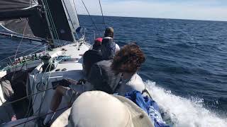 Fast Exit reaching following start of the 800nm 2019 Newport to Cabo Race [upl. by Aileek445]