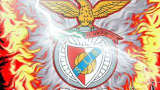 Vencer  benfica vencer vencer [upl. by Nylear]