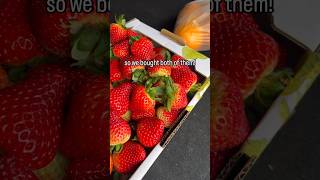 Sunday Vlog  Life in Western Australia  Syiok Kopitiam  Wanneroo Markets  Strawberry Farm 🍓 [upl. by Charmine370]