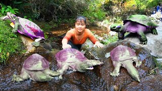 Catch A Lot Of Turtle In The Rock Crevice Go To Market Sell  Buy New Shirt  New Free Bushcraft [upl. by Learsi]