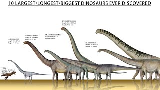 Top 10 Largest Dinosaurs Ever Found Till 2022 [upl. by Lochner]