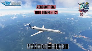 MSFS  TUTO CRJ Cold amp dark part 2 [upl. by Othello]