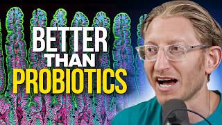 Neuroscientist Reveals How to Repair Gut Health without Probiotics  Dr Sherr [upl. by Renckens]