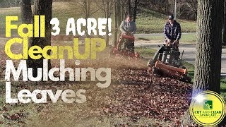 Lawn Care Fall Clean Up  Mulching 3 Acres of Leaves [upl. by Thaddus]