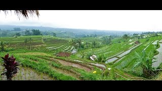 Overwinteren op Bali Januarifebruari 2016 [upl. by Hike]