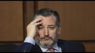 Ted Cruz’s opponent drops BAD NEWS on Cruz ahead of election [upl. by Aehs963]