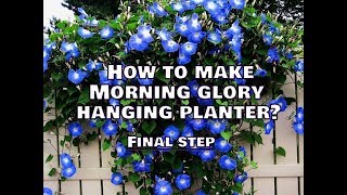 How To Make Morning Glory Hanging Planters Final Step  Whimsy Crafter [upl. by Xxam]