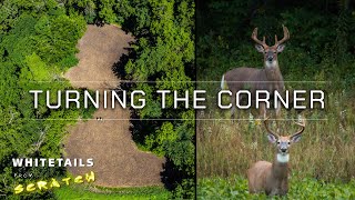 Turning the Corner Whitetails from Scratch Episode 3 [upl. by Goerke]