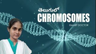 Chromosomes in Telugu  Gene and Allele in Telugu  Cell Biology [upl. by Brett]