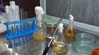 Indole Production test by Bhriganka Bharadwaj [upl. by Opportuna867]