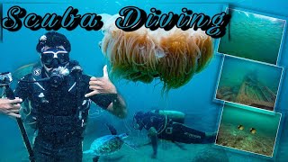 Unawatuna Diving Experience Sri Lanka  Scuba Diving 2021 StoryBook [upl. by Davidson]