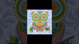 Owl zentangle art doodle painting shortsfeed shorts [upl. by Keene]