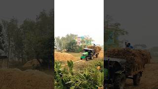 Deutz fahr agromaxx 50 tractor 2Wheel গাছ ধান বইছে কিভাবে দেখুন 14 কাঠা জমির ধান আনছে কিভাবে [upl. by Ahola]