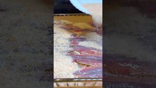 Anchovies with Breadcrumbs cooking food [upl. by Evangelist473]