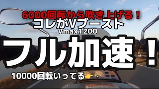 やりすぎ危険！ターボ！？ これがVブースト！ Vmax1200 旧車でもこの加速！ノーマルサイレンサー 1998年式 高音質 ZOOM H2N モトブログ 大型自動二輪 バイク [upl. by Imas]