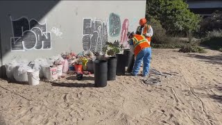 San Diego completes major cleanup of encampments under I5 [upl. by Sclar959]