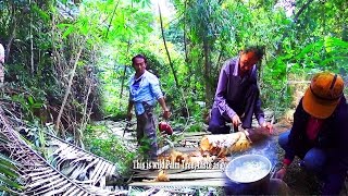 2015 Tho ToovLaj Collect Heart of Palm Tree Jungle adventure p44 HD [upl. by Meela]