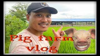 My pig farm vlog ll 🐖 pig farming in Nepal Nambindbyoutube pigfarmvideoyoutubevideo [upl. by Rico]