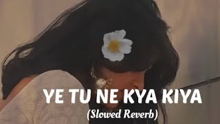 YE TUNE KYA KIYA SLOWD REVERB NEW LOFI SONG   NANDANI  LOFI  MUSIC [upl. by Wiatt850]