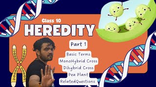 Class X Heredity Part 1 MonoDiHybrid Cross [upl. by Nallad]