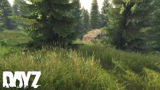 Camo NetTent In The Woods  Fat Loot DayZ Livonia [upl. by Enomal182]