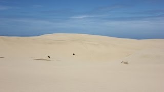 Formation of Sand Dunes Coastal Processes Part 5 of 6 [upl. by Roper]