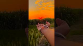 kase ki thali mein chandi ka sikkasunset nature shorts youtubeshorts dhana trending viralvideo [upl. by Dafodil]