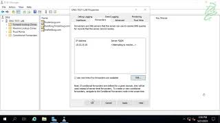 96  DNS Forwarders and Conditional Forwarders [upl. by Idram984]