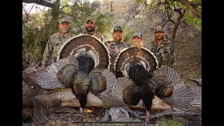 24 Mexico Goulds Turkey Hunt Part Two [upl. by Ramhaj]