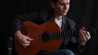 “Reflejo de Luna”  Paco de Lucía guitarra flamenco guitar [upl. by Novrej]