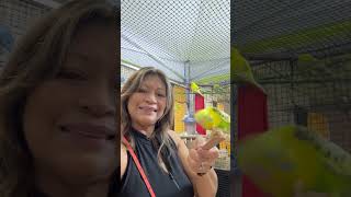 Feeding the parakeets at Maryland State Fair [upl. by Akenna]