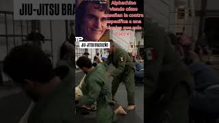 alphachino  memes bjj veracruz jiujitsulifestyle sparring bjjtraining humor [upl. by Akitnahs]