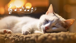 528 Hz Relaxing Music for Cats with Ocean Sounds 🎵 AntiAnxiety Music for Cats [upl. by Phaidra]