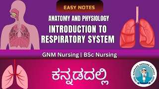 Introduction To The Respiratory System In Kannada  Anatomy And Physiology Of Respiratory System [upl. by Yasu]