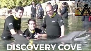 DISCOVERY COVE  NADAR CON DELFINES [upl. by Alfons]