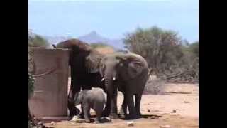 Damaraland Camp Namibia  © Abendsonne Afrika [upl. by Yael]