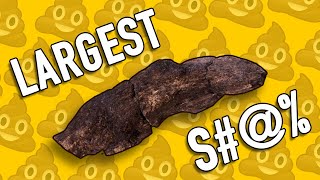 THE LARGEST FOSSILIZED HUMAN TURD EVER FOUND [upl. by Jilly246]