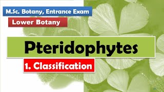 Classification  Pteridophytes [upl. by Atin403]