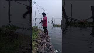 കായൽ വറ്റ  attom  jiging  daiwa crossfire  shimano  fx4000  neverfiel line [upl. by Aracahs858]