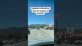 Llegando a Moyahua que me toquen el ausente Juan Manuel Ruiz [upl. by Yaj]