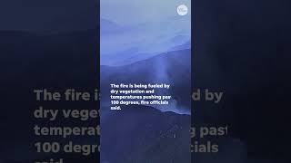 Highlands Line Fire explodes past 17k acres emergency declared Shorts [upl. by Elana837]