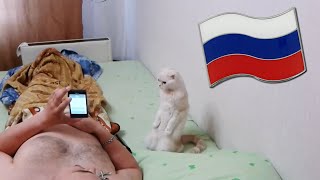 Cat Stands for Russian National Anthem [upl. by Aieka]