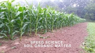 Soil Organic Matter [upl. by Razal292]